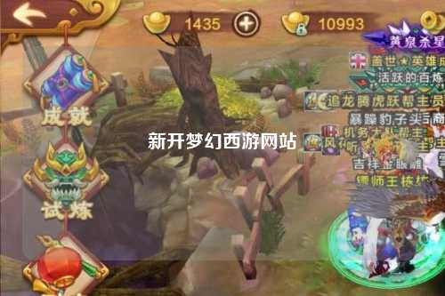 新开梦幻西游网站